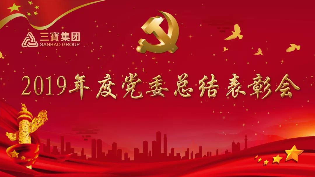 萬眾一心加油干，不負(fù)韶華勇向前｜三寶集團(tuán)黨委召開2019年度總結(jié)表彰會