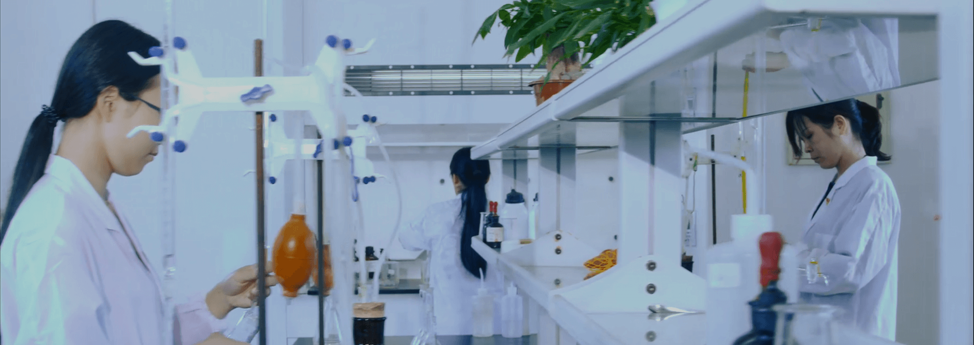 產(chǎn)品與服務(wù)